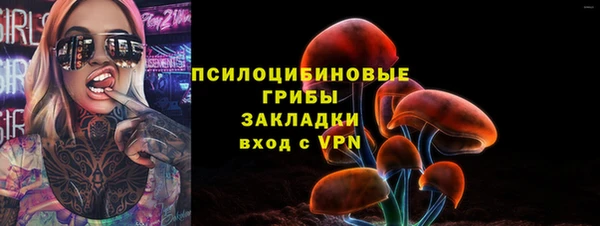 Альфа ПВП Абаза