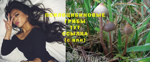 Альфа ПВП Абаза