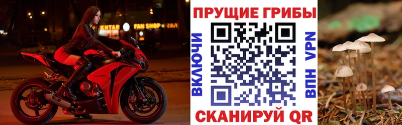 наркошоп  Благовещенск  Псилоцибиновые грибы прущие грибы 